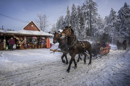 Kulig na Kubalonce zimą